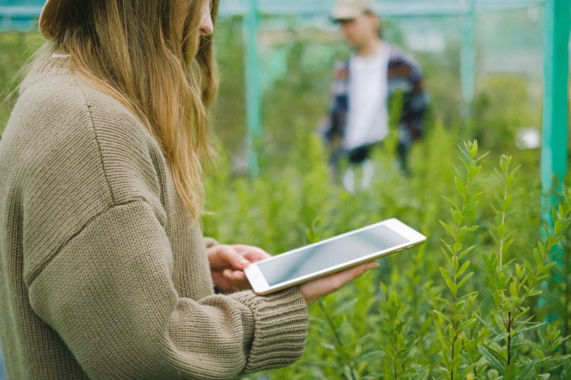 A sustainability scene with green energy